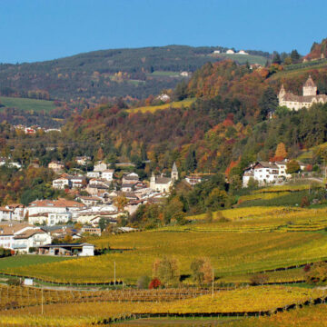 Scrisoare deschisă ADRESATĂ Comisiei Europene DE CĂTRE MAI MULTE ORGANIZAȚII DE MEDIU Scrisoare deschisă ADRESATĂ Comisiei Europene DE CĂTRE MAI MULTE ORGANIZAȚII DE MEDIU