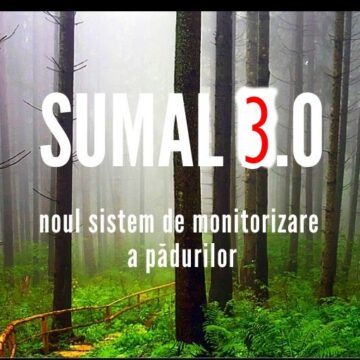 Ministerul Mediului pregătește varianta SUMAL 3.0 pentru a rezolva problema lemnului ilegal