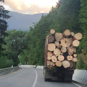 Totul despre Inspectorul Pădurii și controversele aplicației Totul despre Inspectorul Pădurii și controversele aplicației