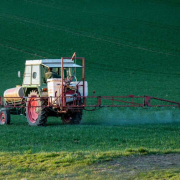 Poluarea solului – ce efect are asupra fructelor și legumelor pe care le mâncăm