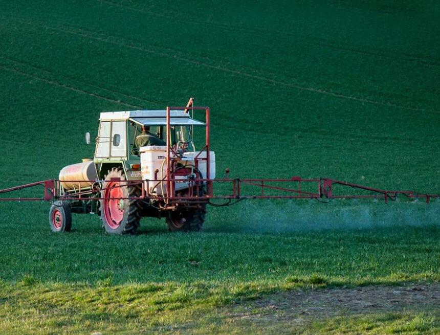 Poluarea solului – ce efect are asupra fructelor și legumelor pe care le mâncăm