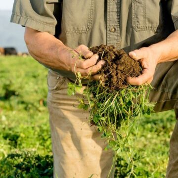 Fermele regenerative schimbă logica economică