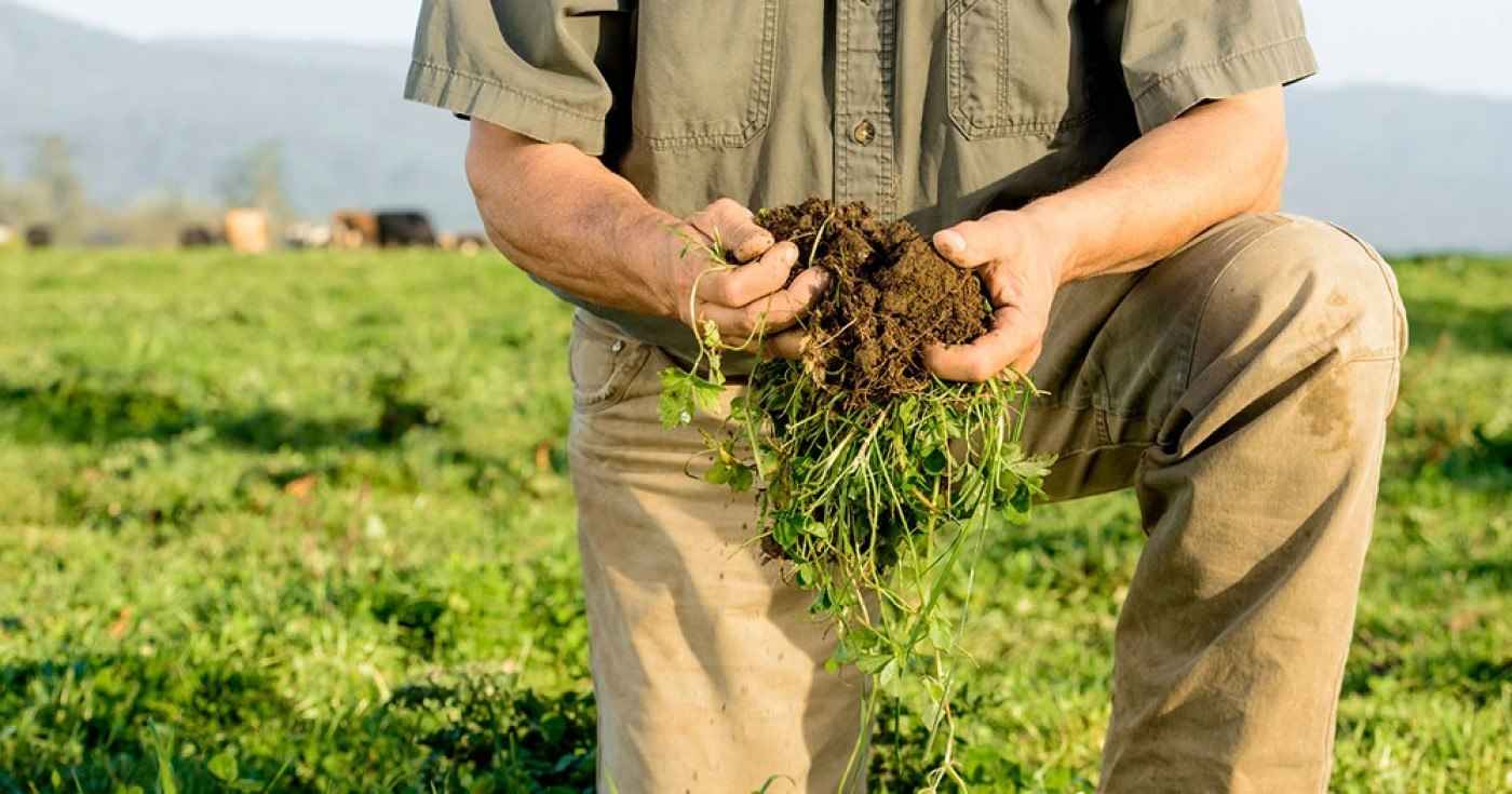 Fermele regenerative schimbă logica economică Fermele regenerative schimbă logica economică